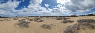 2023-GC--Mapalomas dunas-S123-023.jpg